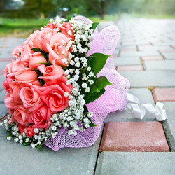 Similar image 6336722