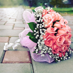 Similar image 6336724