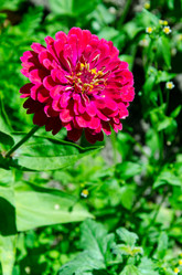 Similar image 6336756