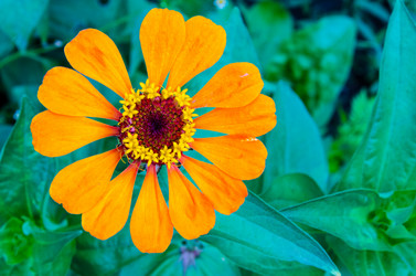 Similar image 6336758