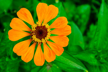 Similar image 6336759