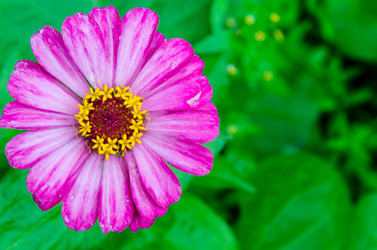 Similar image 6336761