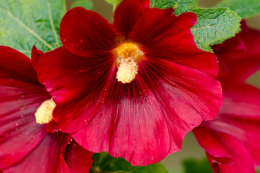 Similar image 6336784