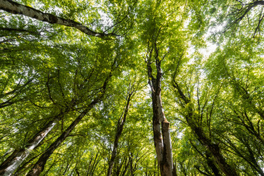 Similar image 6336881