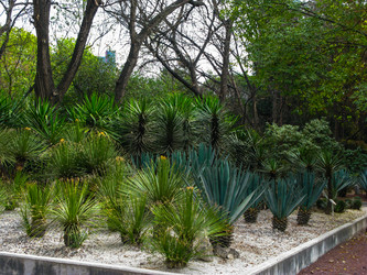 Similar image 6337024