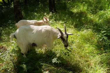 Similar image 6337675