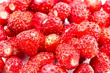 Similar image 6337698