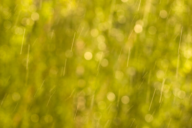 Similar image 6337699