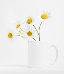 Similar image 6337703