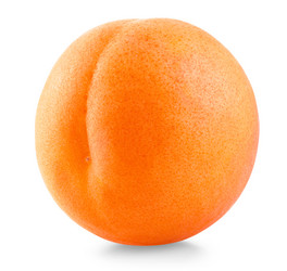 Similar image 6337736