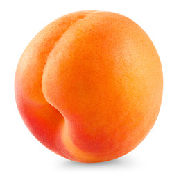 Similar image 6337740