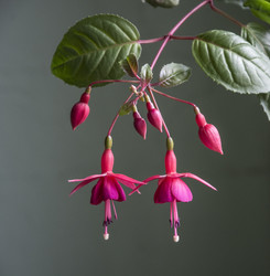 Similar image 6337749