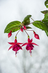 Similar image 6337755