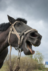 Similar image 6337802