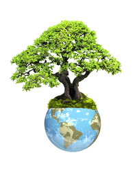 Similar image 6337894