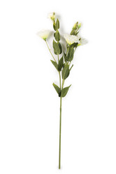 Similar image 6337992