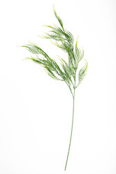 Similar image 6337993