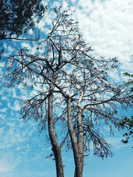 Similar image 6338010