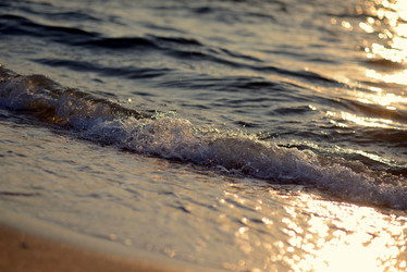 Similar image 6338035