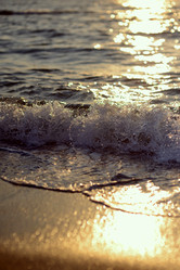 Similar image 6338036