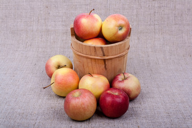 Similar image 6338067