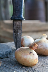 Similar image 6338068