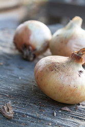 Similar image 6338069