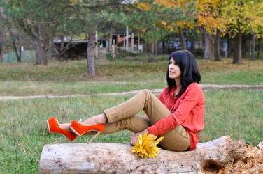 Similar image 6338168