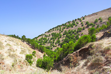 Similar image 6338227