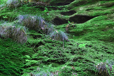 Similar image 6338290