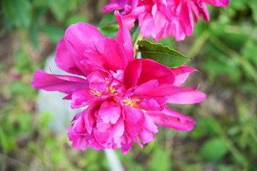 Similar image 6338344