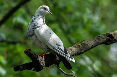 Similar image 6338400