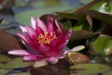 Similar image 6338432