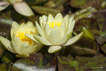 Similar image 6338433