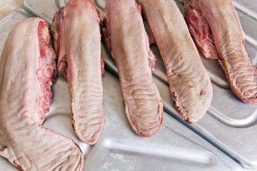 Similar image 6338495