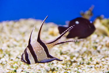 Similar image 6338506