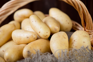 Similar image 6338739