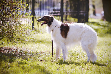 Similar image 6338955