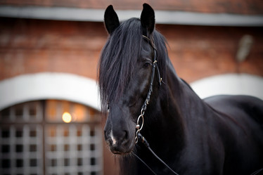 Similar image 6338959