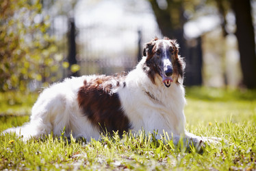 Similar image 6338969