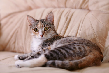 Similar image 6338970