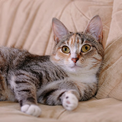 Similar image 6338974