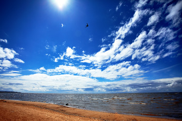 Similar image 6338989