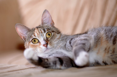 Similar image 6338997