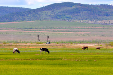 Similar image 6339004