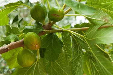 Similar image 6339019