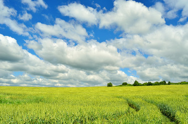 Similar image 6339020