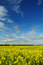 Similar image 6339022