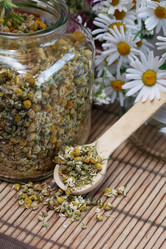 Similar image 6339033