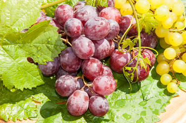 Similar image 6339042